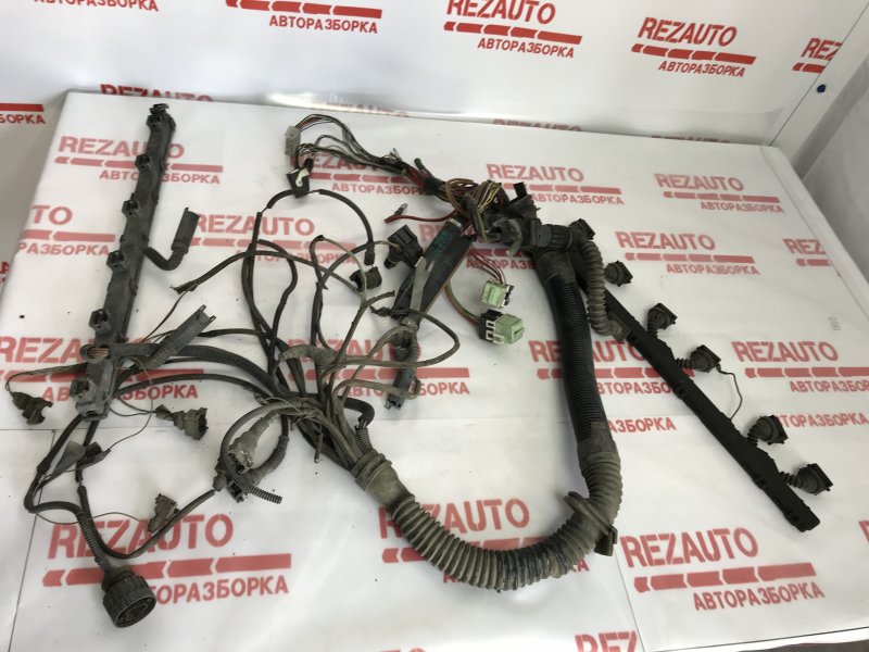 Проводка двс BMW 5-Series E39 Проводка двс BMW 5-Series E39