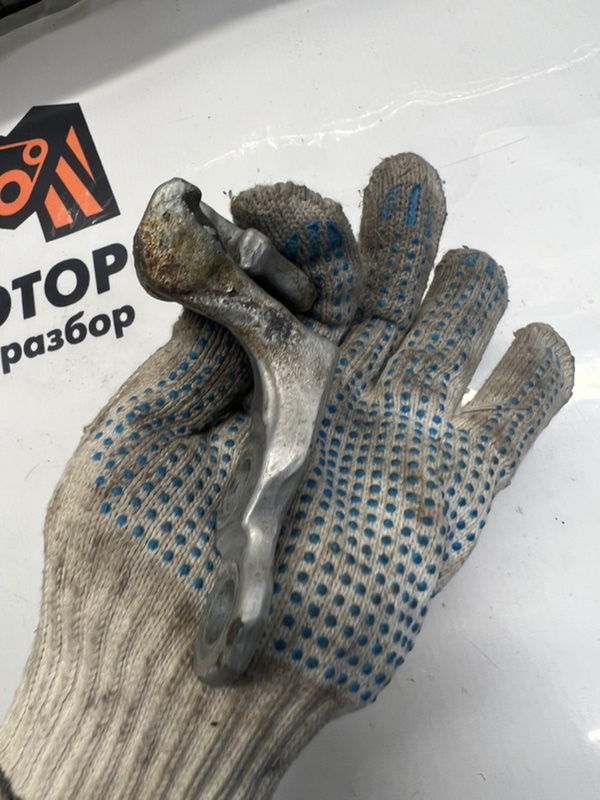 Петля двери задняя левая Focus 2