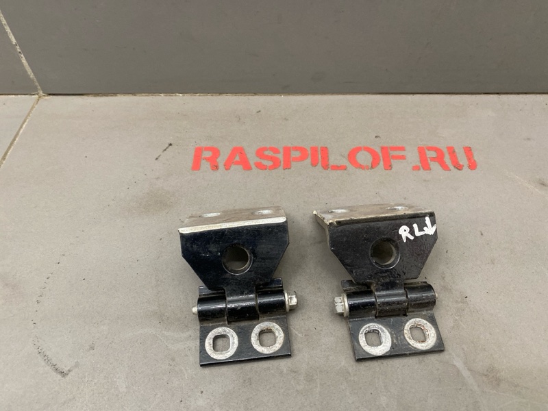 Петля двери Bmw X3 E83 N52B30 2007 задняя левая