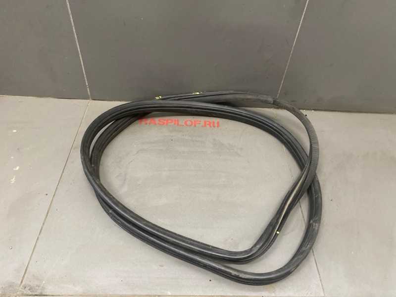 Уплотнительная резинка боковой двери NISSAN Almera Classic B10 QG16 2008 передняя правая (б/у)