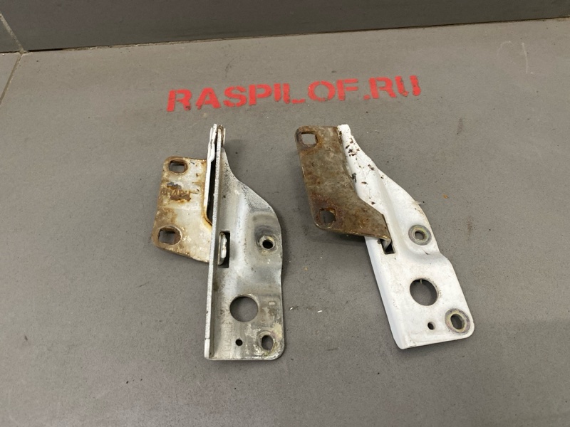 Петля капота NISSAN Wingroad WFY11 QG15DE 2000 (б/у)