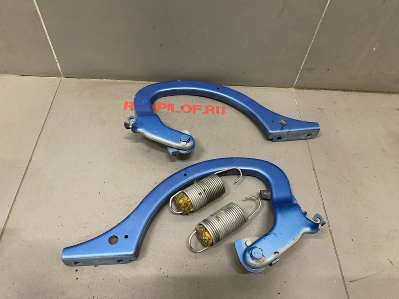 Петля крышки багажника Renault Symbol LB K4J 2003 (б/у)