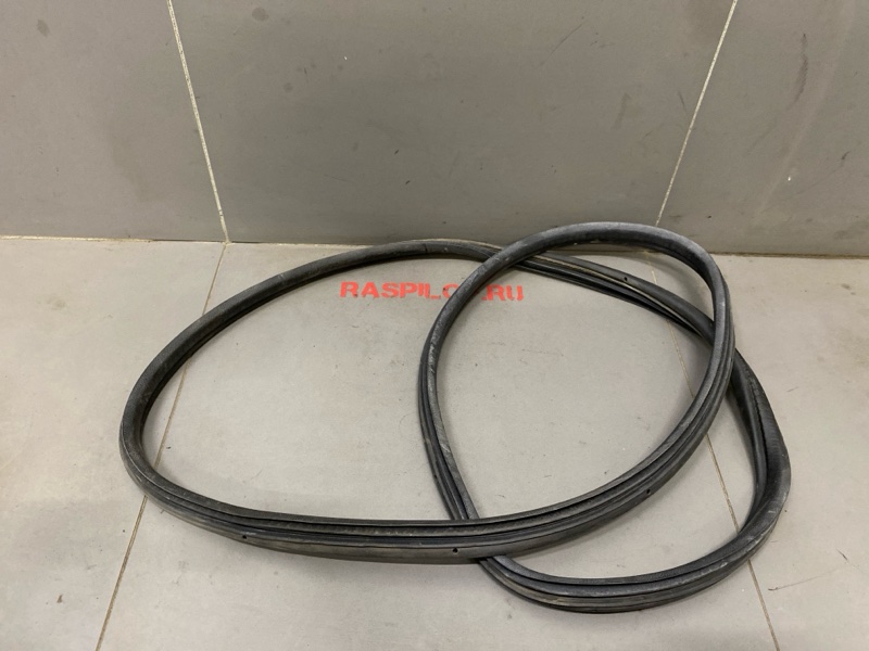 Уплотнительная резинка боковой двери Renault Symbol LB K4J 2003 задняя левая (б/у)