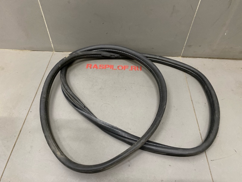 Уплотнительная резинка боковой двери Renault Symbol LB K4J 2003 задняя правая (б/у)