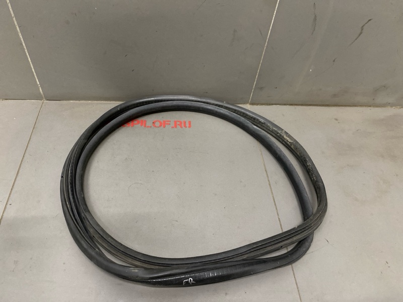 Уплотнительная резинка боковой двери Renault Symbol LB K4J 2003 передняя правая (б/у)