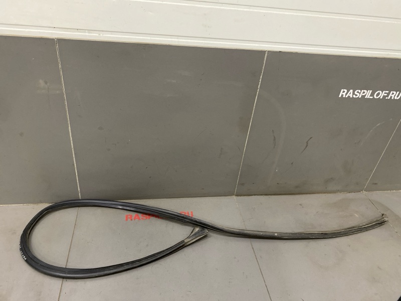 Уплотнительная резинка боковой двери Renault Symbol LB K4J 2003 левая (б/у)