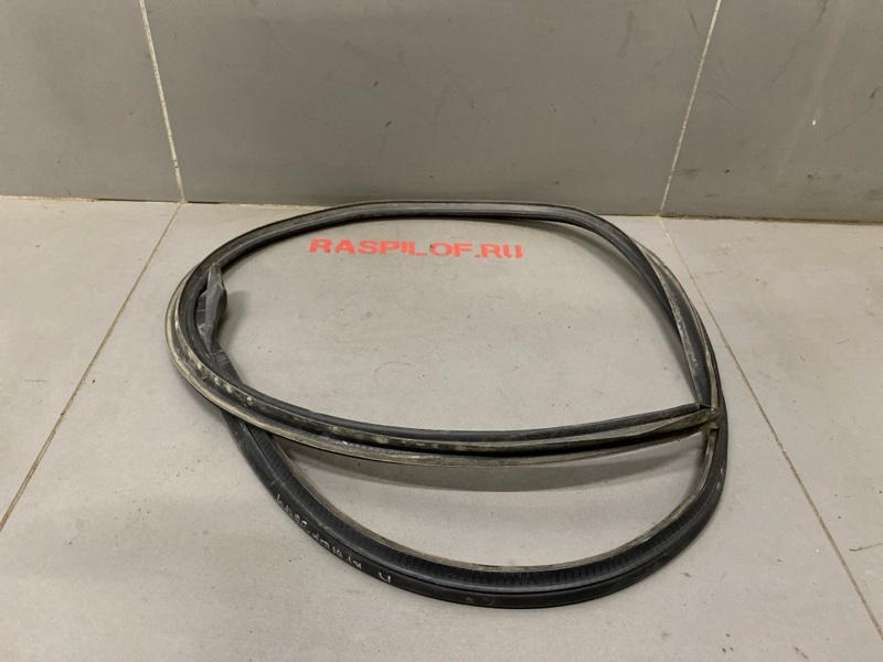 Уплотнительная резинка боковой двери Renault Symbol LB K4J 2003 правая (б/у)