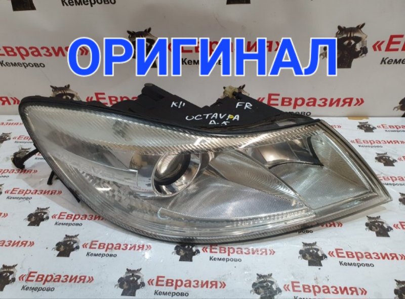 Фара Skoda Octavia 1Z3 CAXA 2012 передняя правая