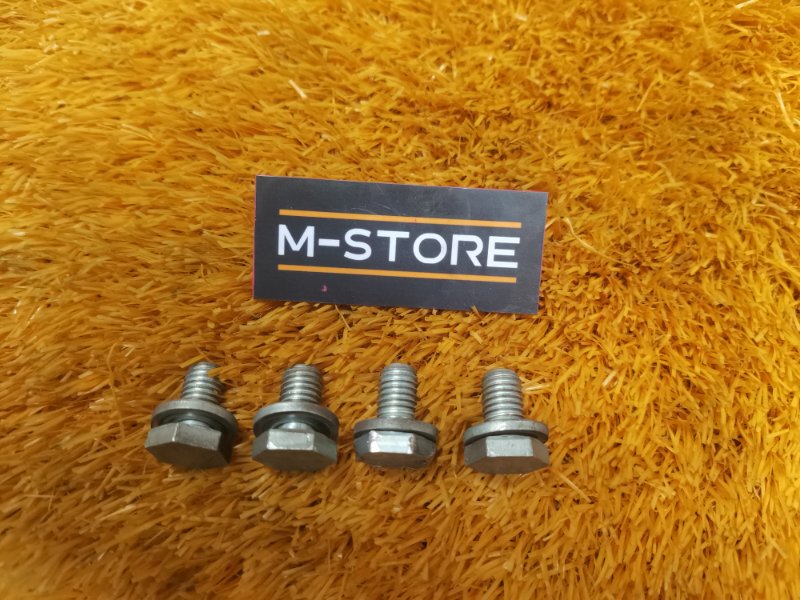 Болт гидротрансформатора BMW 6-Series 2004 E64 N62B44A 24407561393 контрактная