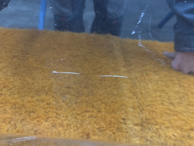 Дверь передняя правая Infiniti FX35 S50 VQ35DE