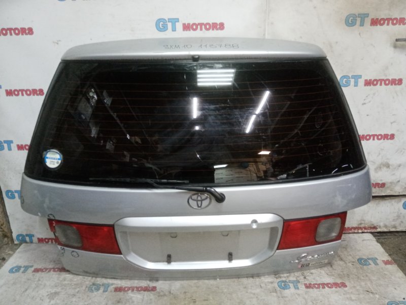 Дверь задняя багажника Toyota Ipsum SXM10G 3S-FE 1997 задняя
