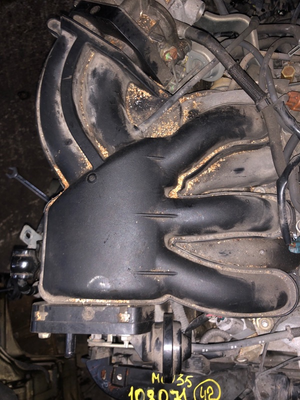 Коллектор впускной Toyota Harrier MCU35W 1MZ-FE 2005 17109-20100