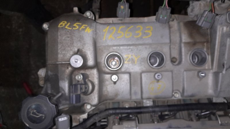 Ролик натяжной AXELA 2010 BL5FP ZY-VE
