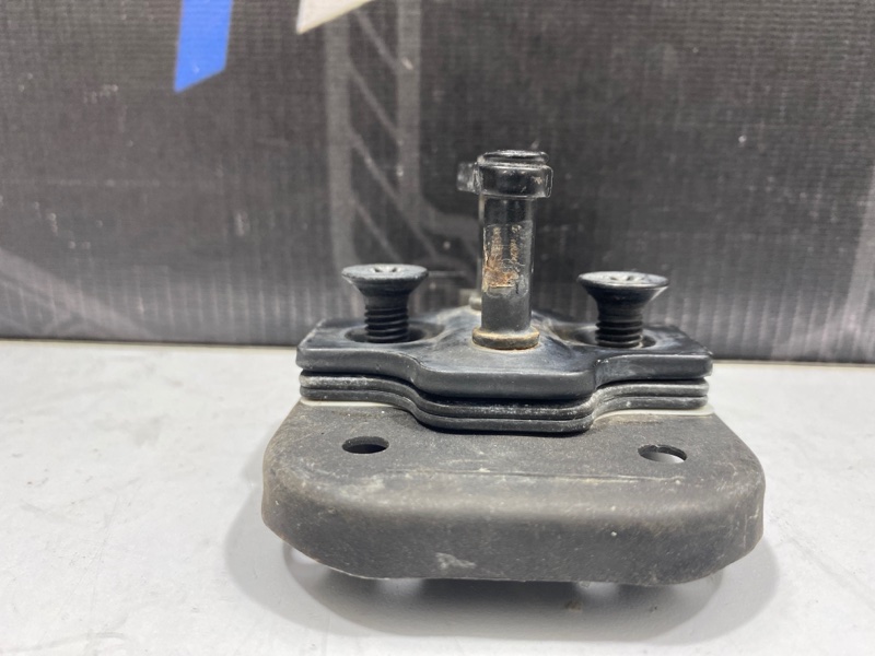 Петля двери задняя Cadillac Escalade LQ9 Петля двери задняя Cadillac Escalade LQ9