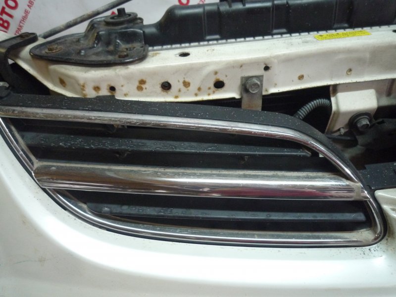 Решетка радиатора Nissan Tino HV10, V10 QG18 1999 правая