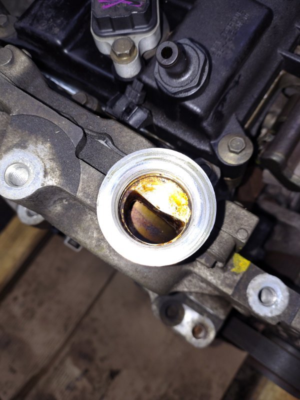 Двигатель X Trail T31 MR20DE