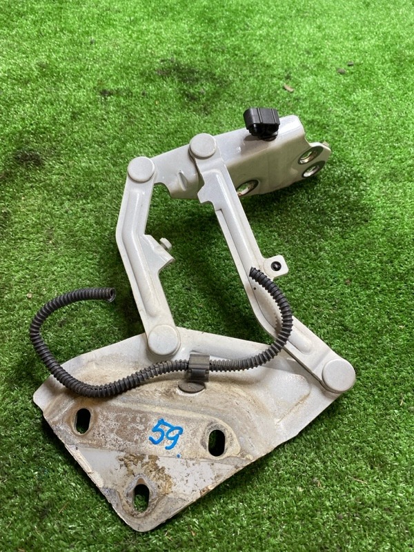 Петля капота TOUAREG