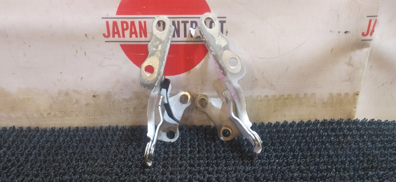 Петля капота Toyota Succeed NCP58G 1NZ-FE 2013