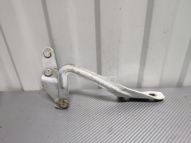 Петля капота передняя левая Ford Focus 2 2004 - 2011 4M51-16801-AB Б/У