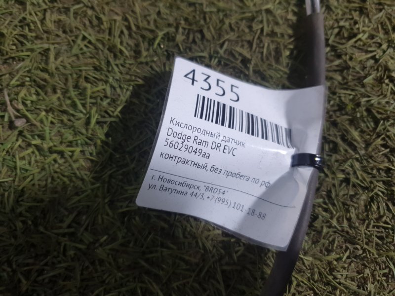 Кислородный датчик Ram DR EVC