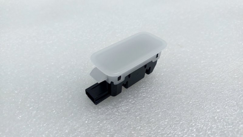 Плафон салона L9 2024 1 L2E15M