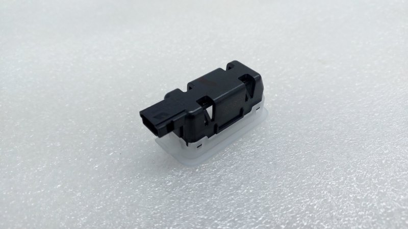 Плафон салона L9 2024 1 L2E15M