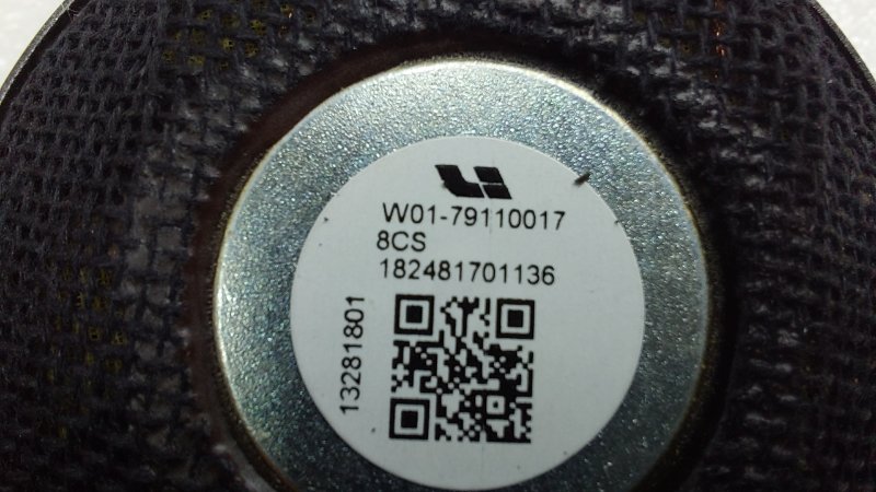 Динамик L9 2024 1 L2E15M