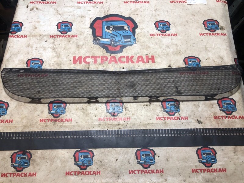 Защитная сетка SCANIA 5 серия P/G/R 2003 (б/у)