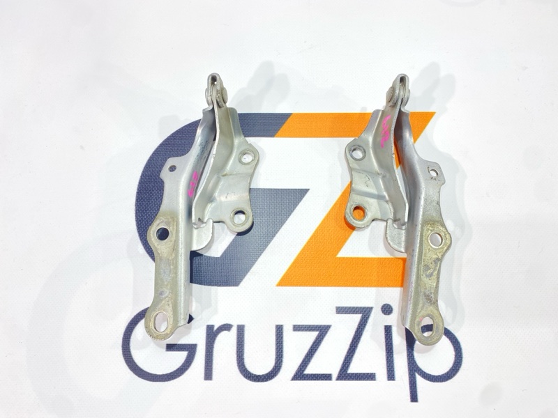 Петля капота Toyota Land Cruiser Prado VZJ121W 5VZ-FE 2004 (б/у)