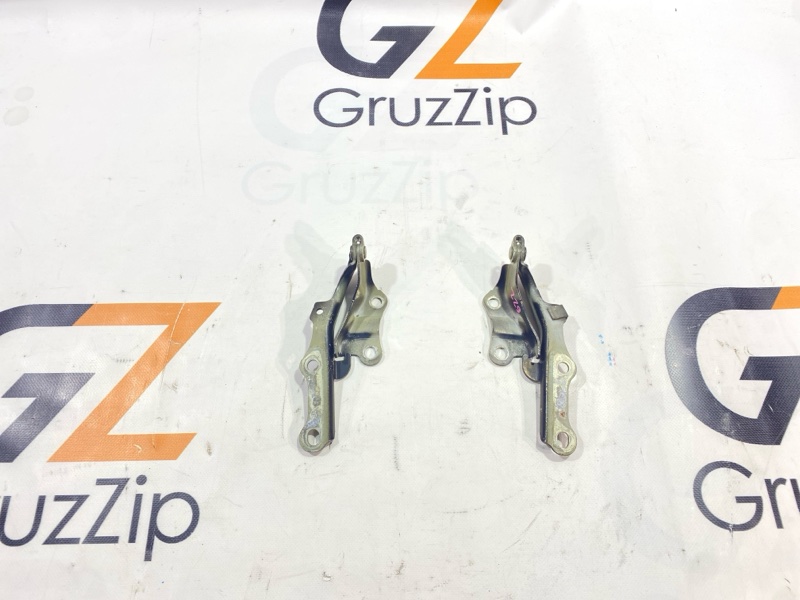 Петля капота Toyota Land Cruiser Prado GRJ120W 1GR-FE 2008 (б/у)