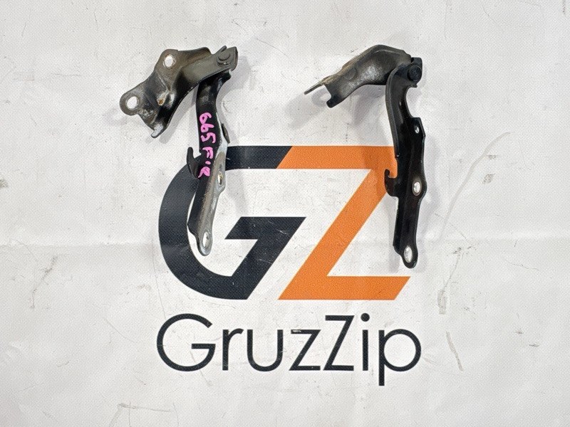 Петля капота Toyota Hilux Surf GRN215 1GR-FE 2008 (б/у)