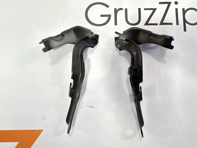 Петля капота Toyota Land Cruiser Prado GRJ120W 1GR-FE 2007 (б/у)