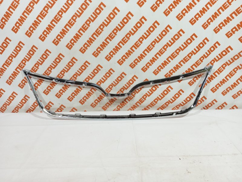 Молдинг решетки радиатора Rapid