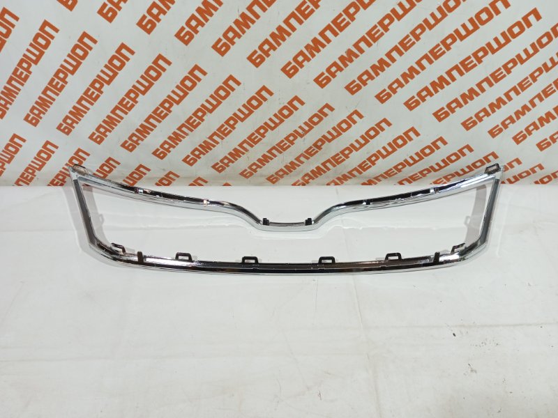 Молдинг решетки радиатора SKODA Rapid