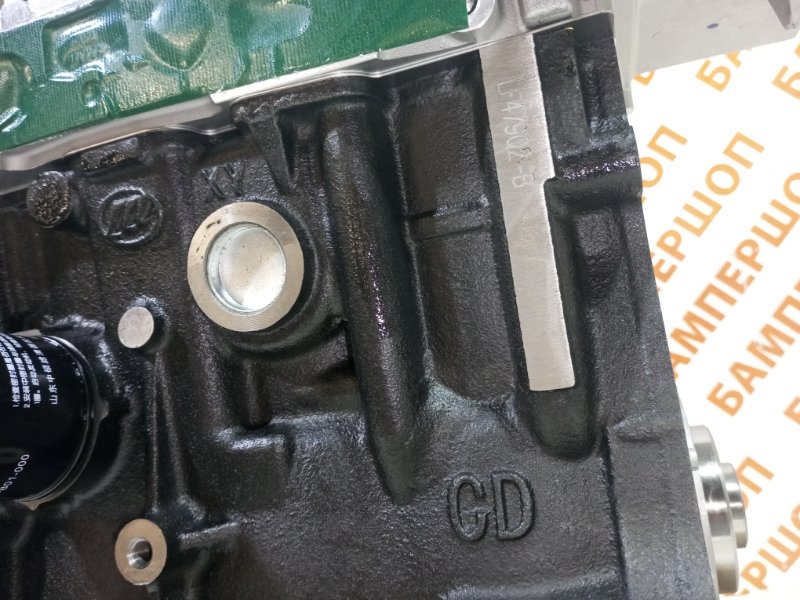 Двигатель LF479Q2B