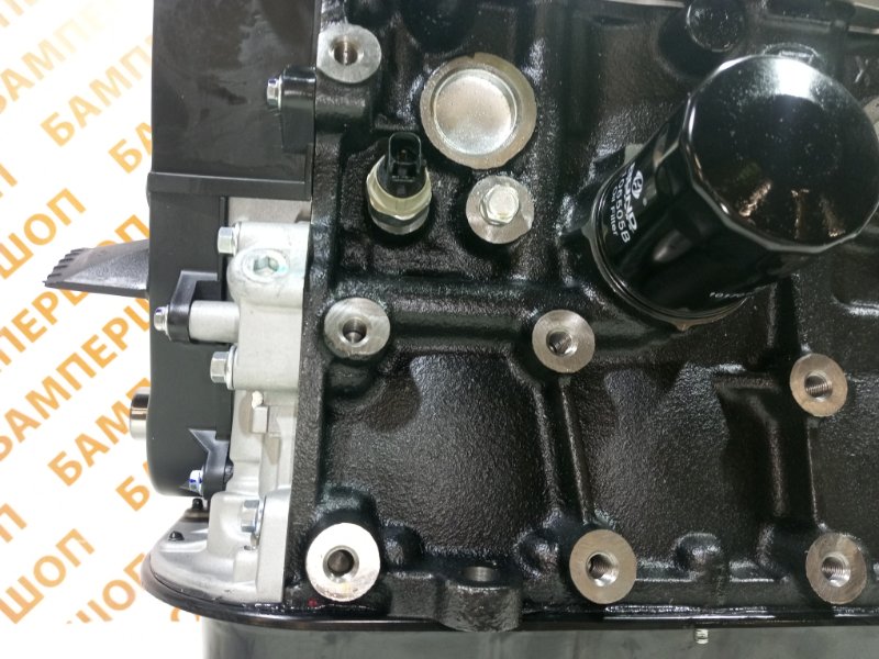 Двигатель LF479Q2B