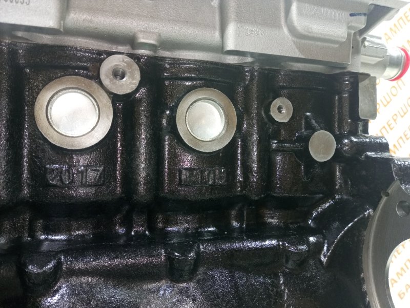 Двигатель LF483Q