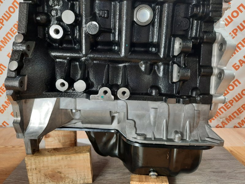Двигатель LFB479Q Iron block X60