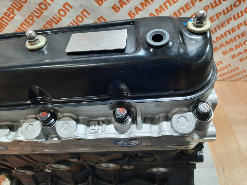Двигатель GW491QE