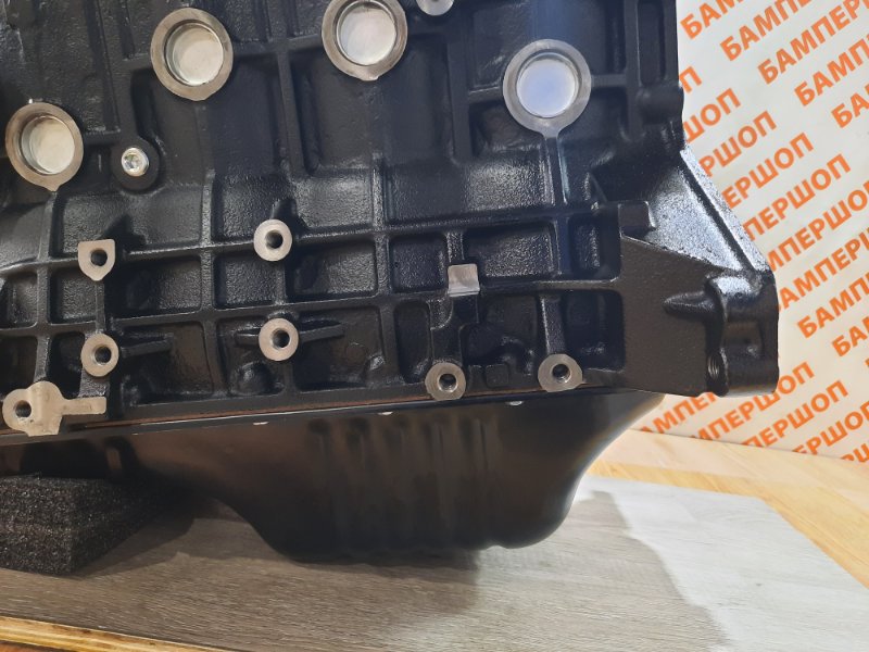 Двигатель GW491QE