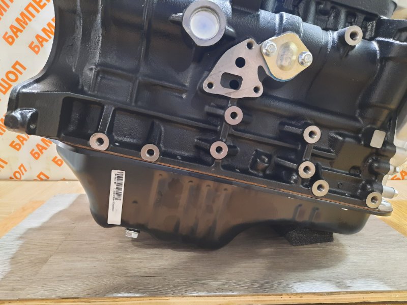 Двигатель GW491QE