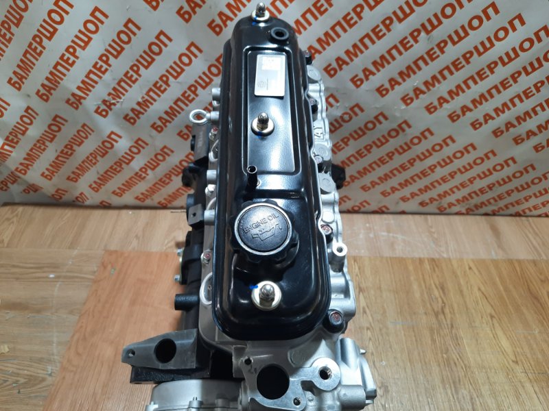 Двигатель GW491QE