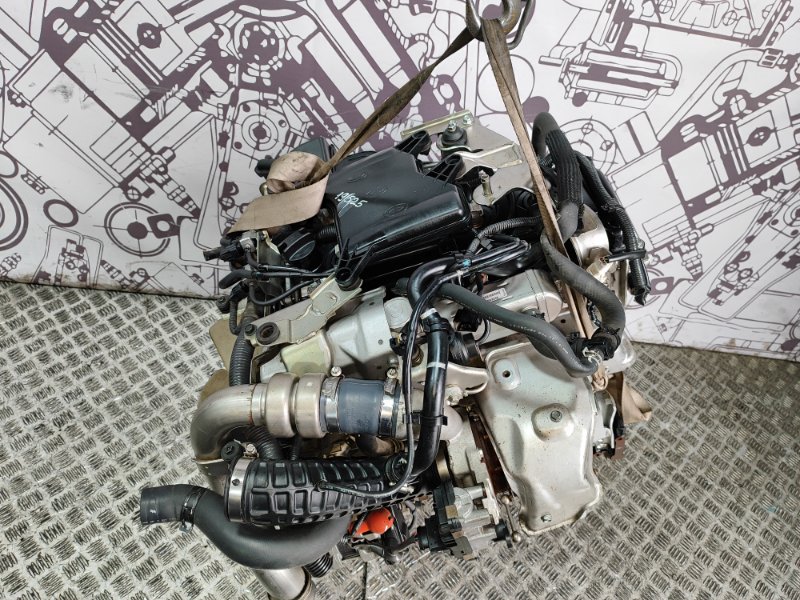 Двигатель Pathfinder 14-10 R51 YD25 DDTi