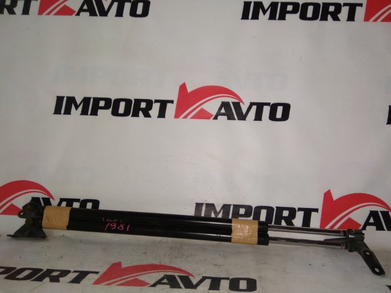 амортизатор задней двери TOYOTA NOAH AZR60G 1AZ-FSE 2001-2004 214436