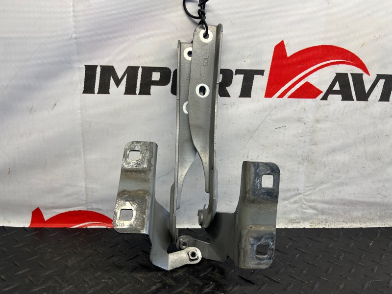 петля капота NISSAN TIIDA LATIO SC11 HR15DE 2008-2012 465067