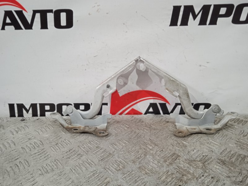 петля капота TOYOTA COROLLA SPACIO AE111N 4A-FE 1997-1999 473779