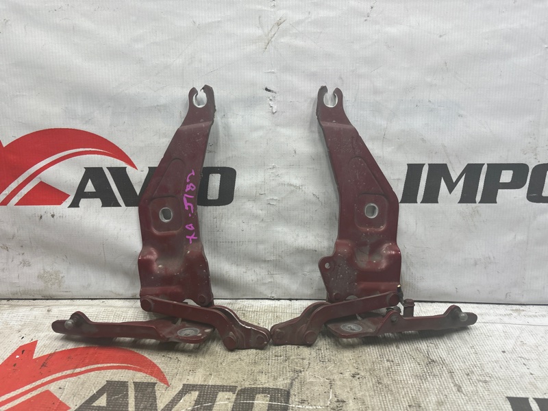 петля капота BMW X6 E71 N63B44 2007-2012 474453