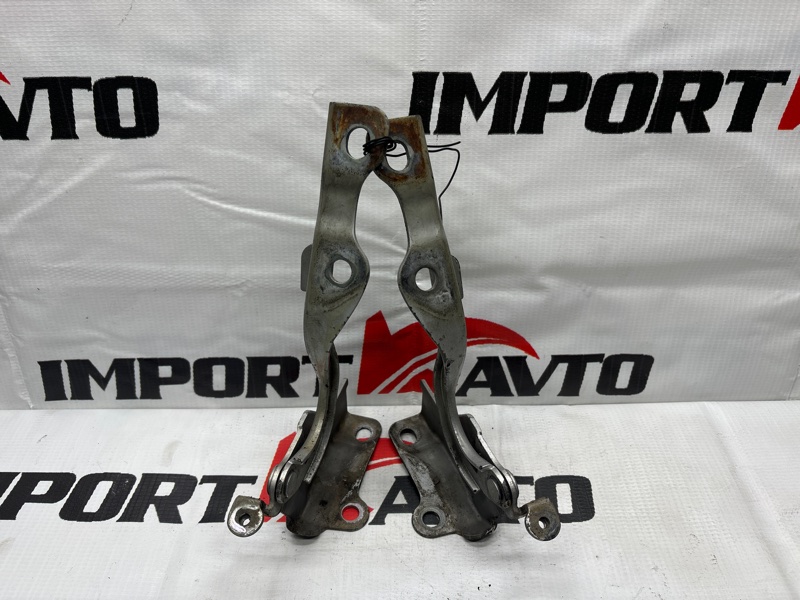 петля капота HYUNDAI GRAND STAREX TQ D4CB 2007-2013 474828