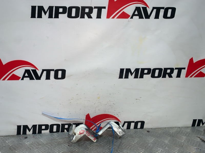 Петля двери NISSAN LEAF AZE0 EM57 2012-2017 передний правый 485563