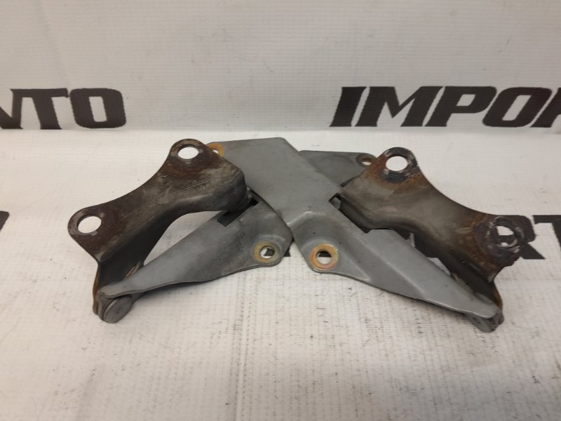 петля капота NISSAN CUBE AZ10 CGA3DE 2000-2002 488060
